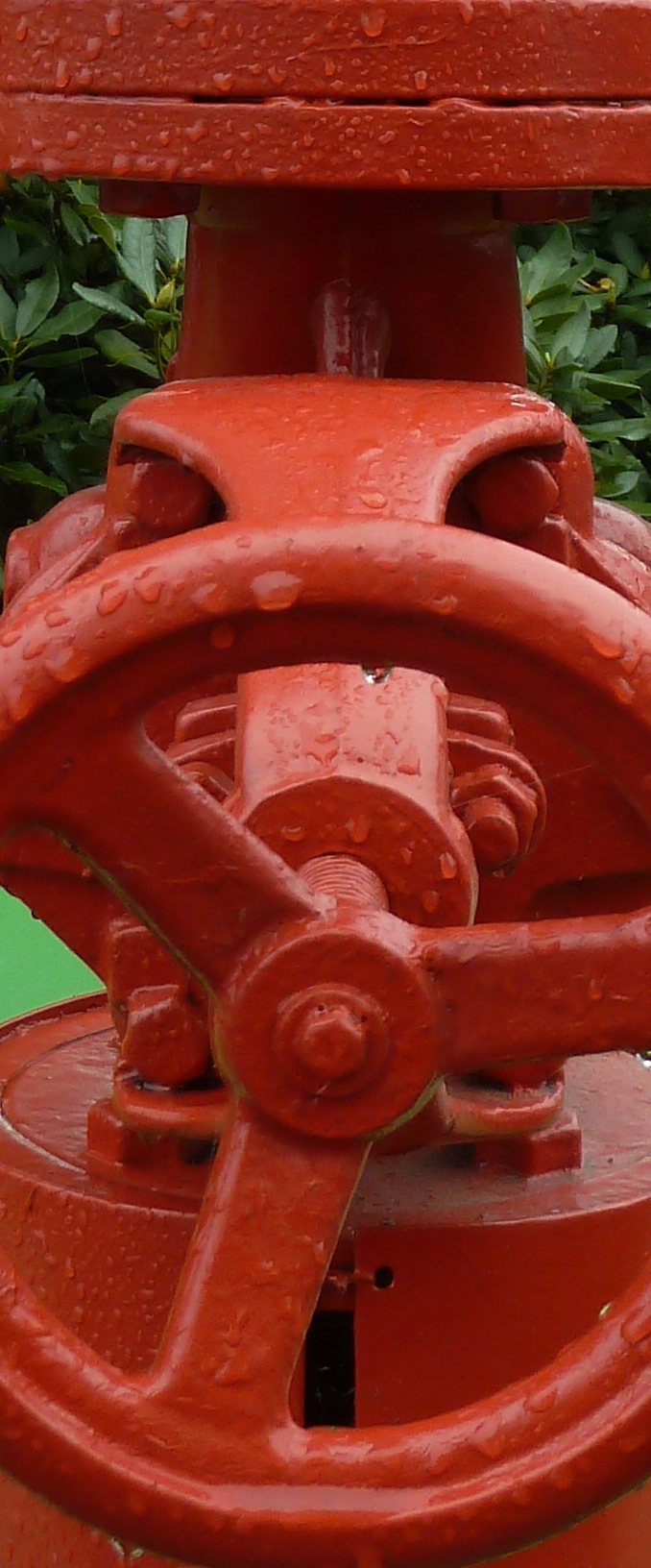 SB6 Detail