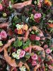 IMG-20260827-WA0012